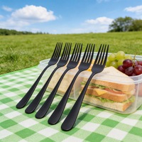 Ensemble de couverts de table Dingyong Factory OEM/ODM, fourchettes à dîner modernes de luxe en acier inoxydable noir mat, 6 fourchettes de 8 pouces, écologiques et durables