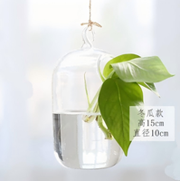 Petit vase suspendu créatif en verre, terrarium, bouteille pour plantes hydroponiques, conteneur pour plantes succulentes et plantes aériennes, décoration d'intérieur