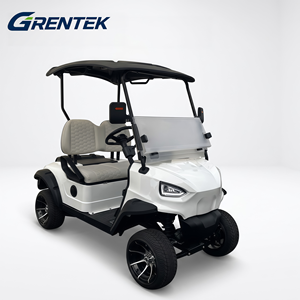 Voiturette de golf électrique confortable et économique, 2 places, 48V, pour routes non publiques - Product Image 4