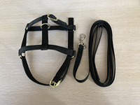 Produits équins Harnais pour chevaux Bride Halter Endurance Horse Bridle Halter Premium Quality