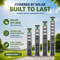 Lampe solaire murale de 100 watts IP66, fabriquée en usine depuis 12 ans, en alliage d'aluminium, avec caméra CCTV, garantie de 3 ans, LED 6000K, certifiée CE/RoHS