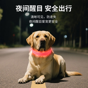 Nouveau collier lumineux pour animaux de compagnie en e-commerce transfrontalier avec sangle en nylon, laisse anti-perte à LED, réglable pour chats et chiens. - Product Image 2