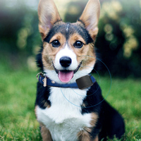 Traqueur GPS Étanchéité Profonde Suivi Antenne GPS pour Chien de Chasse Localisateur pour Collier de Positionnement T5/TT15/TT10