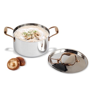 Stainless Steel Induction-Ready Tri-Ply Clad Stock <b>Pot</b> - Product Image 3