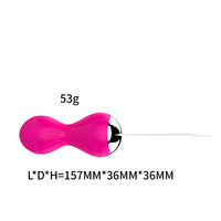 10-Frequenz Wasserdichter Silikon-ABS-Vibrator mit Kabelloser Fernbedienung USB-Aufladbar G-Punkt-Stimulator für Erwachsene Frauen
