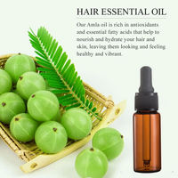 Huile d'Amla 100% pure d'Inde, fournisseur en gros OEM, huile de Phyllanthus Emblica biologique pressée à froid, huile de support