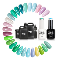 Gel UV 2024, nouveau logo personnalisé, fournisseur professionnel de cosmétiques pour ongles, vente en gros de produits pour ongles