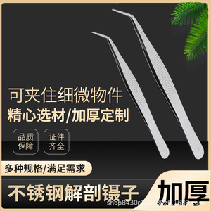 คีมจับสแตนเลส Mu Zixing ขนาด 12.5-20 ซม. แบบตรงและโค้ง พร้อมฟันจับละเอียดสำหรับงานห้องปฏิบัติการ - Product Image 5