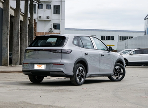<span class=keywords><strong>Versión</strong></span> <span class=keywords><strong>internacional</strong></span> del nuevo Geely E5 SUV de lujo de gran oferta de largo alcance - Product Image 4