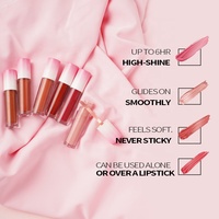 Brillant à lèvres vegan de marque privée imperméable à l'eau maquillage teinté rouge à lèvres brillant hydratant