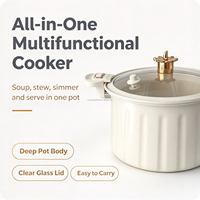 Coffrets Cadeaux Promotionnels : Marmite à Soupe Multifonctionnelle en Émail, Cocotte, Autocuiseur de Cuisine pour Cuisinières à Gaz et à Induction