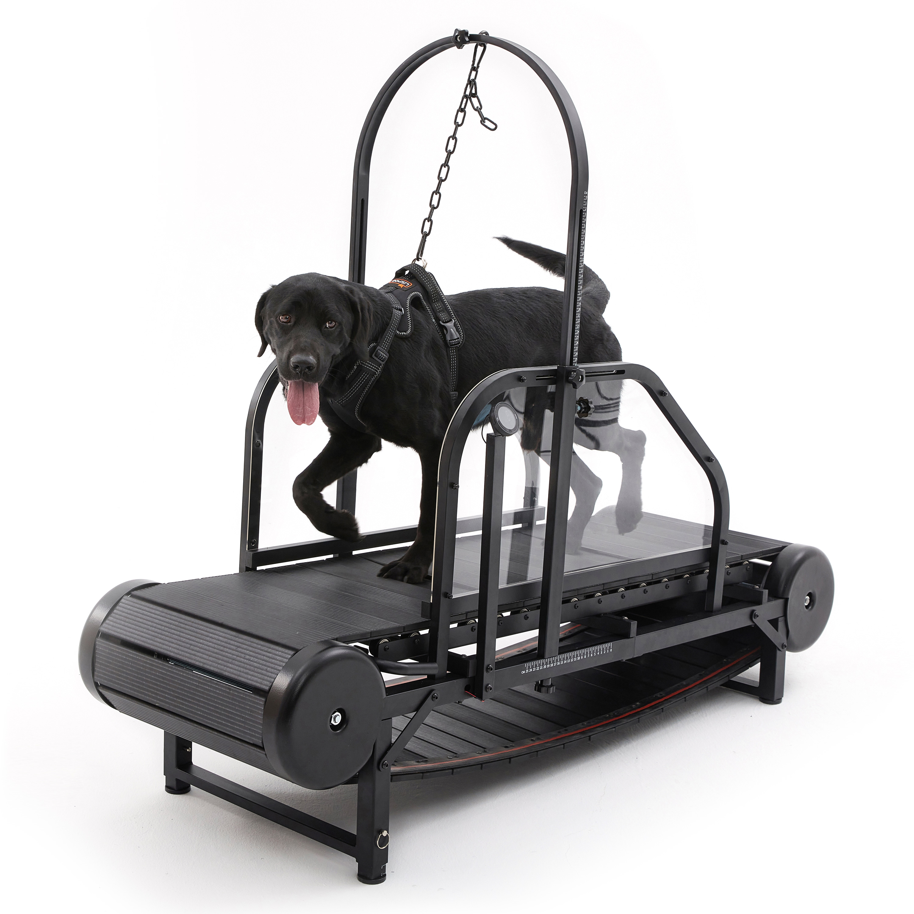 Used Dog Treadmills for Sale Foldable Electric