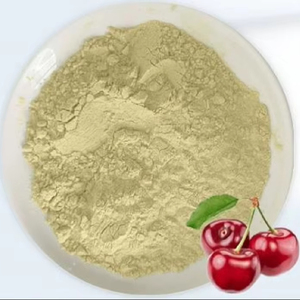 Pabrik Cina grosir bubuk ceri Acerola segar bubuk teh kesehatan kuning instan kandungan VC tinggi organik - Product Image 1
