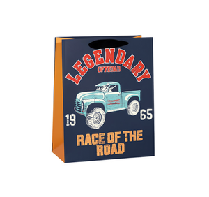 Borsa Regalo in Carta alla Moda con Manico - Product Image 1