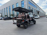 Voiturette électrique tout-terrain côte à côte, mini véhicule tout-terrain, voiturette de golf 3-4 places, voiturette de golf de haute qualité, voiturette de golf classique, buggy des dunes