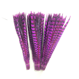 Aqua Color <span class=keywords><strong>Nando</strong></span> pluma púrpura avestruz plumas turquesa cóctel pluma Gallo cola ajuste para carnaval ala Decoración - Product Image 2