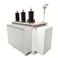 Transformador Compacto Sumergido en Aceite S11-M 315KVA con Monitor de Temperatura Automático para Zonas Residenciales y Centros Comerciales, Fácil Instalación
