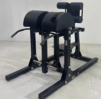 Chaise romaine professionnelle, banc d'hyperextension, extension dorsale, entraîneur abdominal, des jambes et des hanches, équipement de fitness pour salle de sport