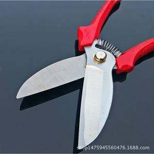 Ciseaux à ail Jiulifeng en acier inoxydable, lame de 3,5 pouces, grande tête, usage agricole, acier à haute teneur en carbone, ciseaux de cuisine - Product Image 1