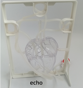 Modelo de Circulación Sanguínea Visible con Bomba, Estructura <span class=keywords><strong>del</strong></span> Corazón Humano, Enseñanza de <span class=keywords><strong>Ciencias</strong></span>, Experimento de Biología, Juguete Educativo - Product Image 3