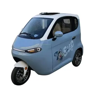 Triciclo de motor de cabina cerrada de nuevo diseño con cámara de visión trasera 25-45 km/h coche eléctrico para personas mayores