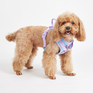 Oem Neoprene Teddy Modern mewah dapat disesuaikan kalung anjing gratis set <span class=keywords><strong>Harness</strong></span> tren terbaru untuk anjing anak anjing liburan - Product Image 6