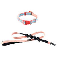 UFBemo Offre Spéciale réglable motif personnalisé collier pour animaux de compagnie doux collier de chien imprimé durable