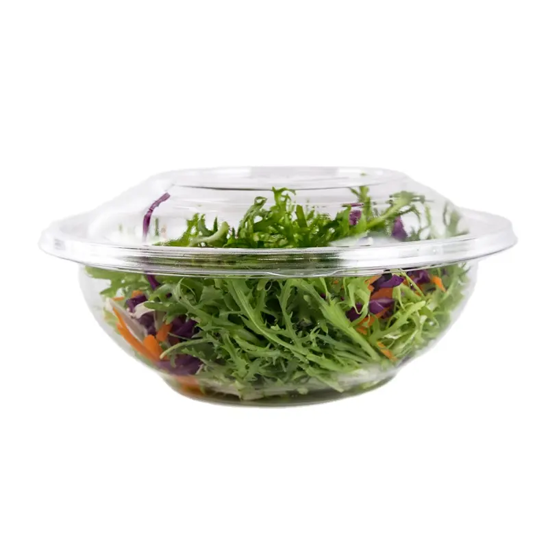 Wholesale PET Transparent Plastic Food Box Disposable Blister Processed Salad Fruit Packaging Bowl