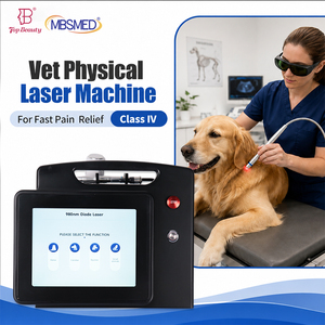 Laser vétérinaire de classe 4 à haute intensité 980 nm 30 W pour la réadaptation de l'arthrite et la récupération musculaire des animaux de compagnie - Product Image 1