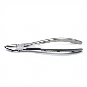 Pinzas Dentales de Acero Inoxidable MELPEX G1012, Herramienta Quirúrgica de Extracción de Precisión, Autoclavable, Acero SS 420, Empuñadura Moleteada, Mandíbula 30 - Product Image 1