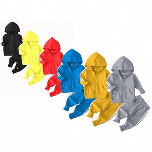 Conjunto Deportivo Informal de 2 Piezas para Niños, 100% Algodón, Sudadera con Capucha y Cremallera, Pantalones Deportivos, para Niños y Niñas, Novedad de 2023 - Product Image 1