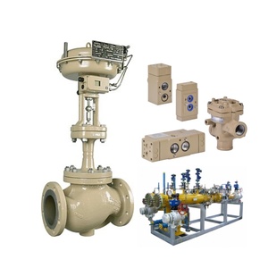 Control de Volumen Neumático de Alto Flujo Low Globe 3241 3756 para Procesos Industriales es un Control de Alto Rendimiento - Product Image 5