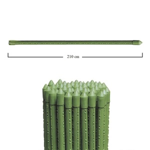Plant Support <b>Rods</b> 150 Cm Green <b>Plastic</b> Coated Steel Canes 11 Mm Diameter Garden Stake For Plants - Product Image 2