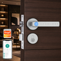 Serrures de porte intérieures intelligentes en alliage d'aluminium avec empreinte digitale, carte Wi-Fi et application Tuya personnalisée