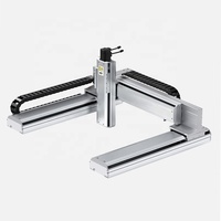 Moteur de haute qualité 4 axes bras de Robot manipulateur automatique 3 axes module linéaire portique personnalisé