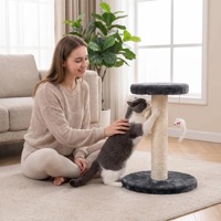 Arbre à chat en sisal, griffoir, structure d'escalade, plateforme de saut, panneaux de particules de qualité E1, jouet d'intérieur, emballé en carton, pliable