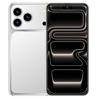 Profesyonel Ticari Kullanımlı 17 Pro Max Kilitsiz 5G Akıllı Telefon HD Ekran 6.9" 144Hz 108MP Kamera Deca Core İşlemci 16GB RAM 1