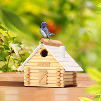Kit de nichoir en bois à construire soi-même, nichoirs pour adultes à construire, artisanat en bois pour adultes et bricolage, nichoir