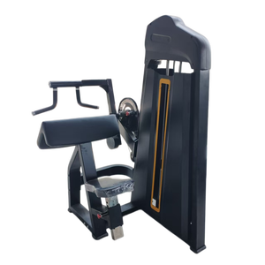 Équipement <span class=keywords><strong>de</strong></span> fitness <span class=keywords><strong>de</strong></span> haute qualité RA - Machine à flexions <span class=keywords><strong>de</strong></span> bras la plus vendue pour les entraînements des biceps et des triceps - Product Image 6