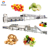 Machine voor het wassen, drogen en sorteren van mandarijnen, raap, tomaten, aardappelen en appels. Op maat gemaakte verwerkingsoplossingen voor groenten en fruit.