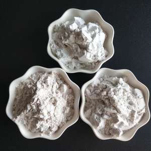 Poudre d'argile <span class=keywords><strong>diatomée</strong></span> calcinée (Kieselguhr) à prix abordable – Aide filtrante à base <span class=keywords><strong>de</strong></span> diatomite - Product Image 4