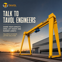 Palans électriques Tav Crane pour applications en chantier de construction, 1-20m, avec garantie de 4 ans, équipement pour inspection par rapport et vidéo