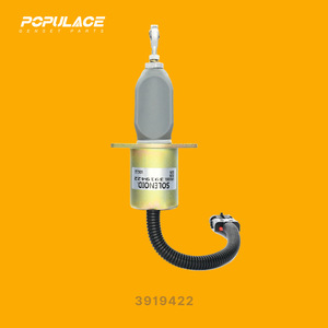 Válvula Solenoide Populace 3919422 para Grupos Electrógenos DC24V - Product Image 1