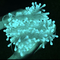 Tsinye LED guirlandes lumineuses 8 Modes blanc doux guirlandes lumineuses intérieur Berry guirlandes lumineuses pour salle de fête de mariage fil clair
