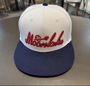 עיצוב חדש היפ הופ כובע ברים שטוחים מותאם אישית מלאי אופנה רקמה 3D רקמת ספורט מגוררות - Product Image 5