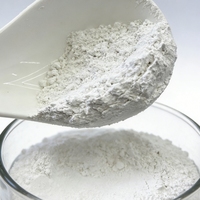 Poudre d'hydroxyde de calcium (chaux) pure à 99,5 % de l'usine Hongyu pour applications chimiques