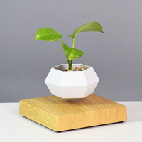 Venta caliente levitación magnética Base de madera maceta levitante bonsái flotante maceta hogar Oficina decoración planta en maceta