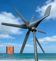 Générateur éolien 12V 24V 48V, générateur éolien 800W à 3 pales avec contrôleur éolien MPPT, kit générateur éolien
