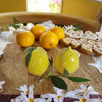 Salière et poivrière en forme de citron en céramique Objets décoratifs pour cuisine ou table
