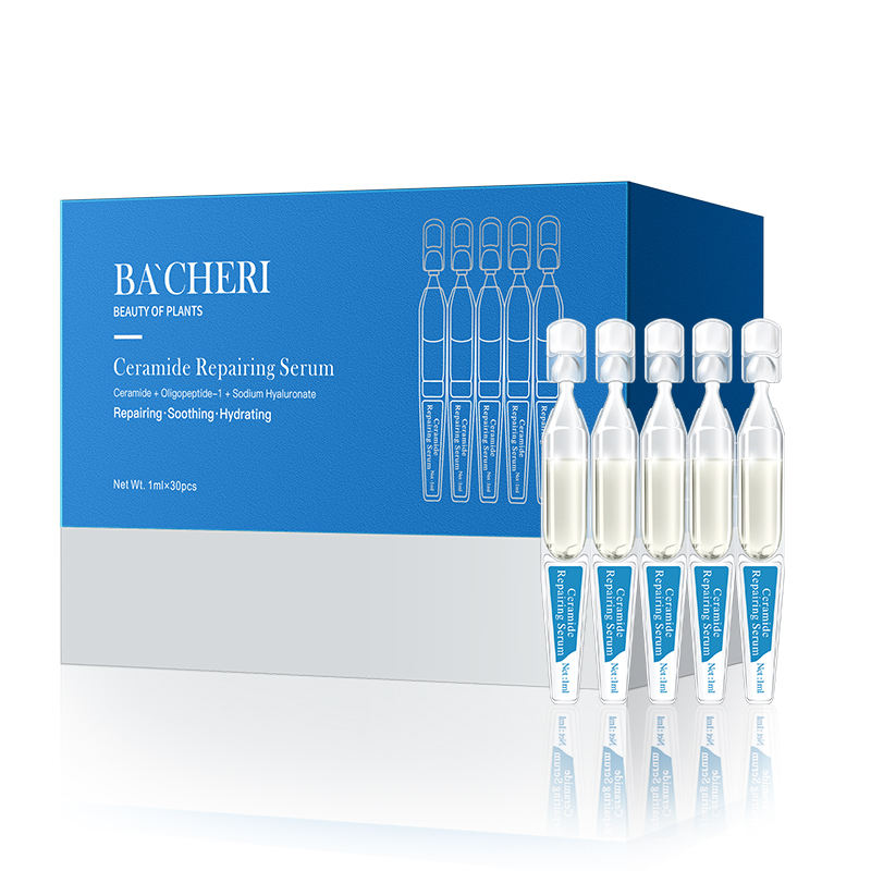 ซ่อมแซมเซราไมด์